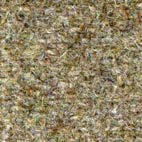 Pugi fenice 511 Swatch image for Pugi fenice 511